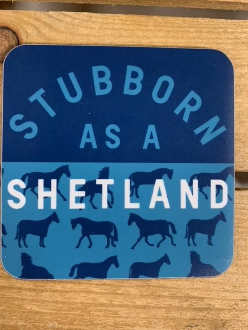 Gubblecote Stubborn as a Shetland Coaster-1